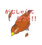 外来種ガビチョウpart2（個別スタンプ：10）