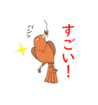 外来種ガビチョウpart2（個別スタンプ：11）