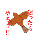 外来種ガビチョウpart2（個別スタンプ：12）