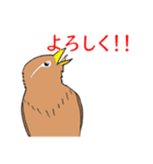 外来種ガビチョウpart2（個別スタンプ：14）
