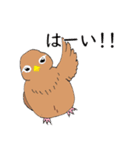 外来種ガビチョウpart2（個別スタンプ：15）
