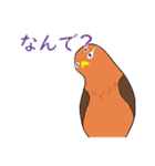 外来種ガビチョウpart2（個別スタンプ：21）