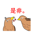 外来種ガビチョウpart2（個別スタンプ：26）
