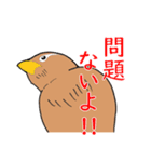 外来種ガビチョウpart2（個別スタンプ：27）