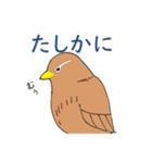外来種ガビチョウpart2（個別スタンプ：28）