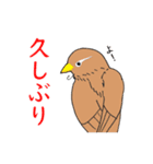 外来種ガビチョウpart2（個別スタンプ：29）