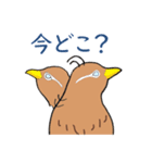 外来種ガビチョウpart2（個別スタンプ：30）