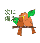 外来種ガビチョウpart2（個別スタンプ：33）