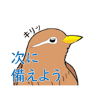外来種ガビチョウpart2（個別スタンプ：34）