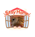 大好き❤️ハムスター（個別スタンプ：2）