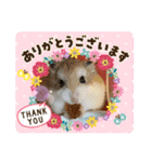 大好き❤️ハムスター（個別スタンプ：3）