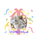 大好き❤️ハムスター（個別スタンプ：6）