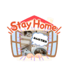 大好き❤️ハムスター（個別スタンプ：8）