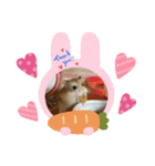 大好き❤️ハムスター（個別スタンプ：13）