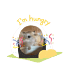 大好き❤️ハムスター（個別スタンプ：14）