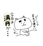 ねこの菊池さん～日常編～（個別スタンプ：20）