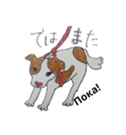 ロシア語 ぶち犬2（個別スタンプ：6）