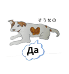 ロシア語 ぶち犬2（個別スタンプ：12）