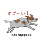 ロシア語 ぶち犬2（個別スタンプ：15）