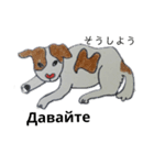 ロシア語 ぶち犬2（個別スタンプ：31）