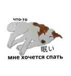 ロシア語 ぶち犬2（個別スタンプ：33）