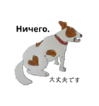 ロシア語 ぶち犬2（個別スタンプ：36）