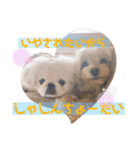 犬と会話スタンプ（個別スタンプ：15）