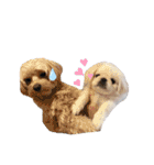 犬と会話スタンプ（個別スタンプ：21）