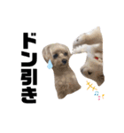 犬と会話スタンプ（個別スタンプ：22）