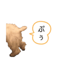 白いおいぬくん（個別スタンプ：15）