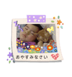 コロタローのスタンプ（個別スタンプ：7）
