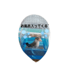 桜文鳥のるぅくんスタンプ（個別スタンプ：6）