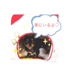 CuontoFuta（個別スタンプ：4）