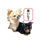 CuontoFuta（個別スタンプ：15）
