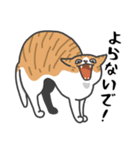 感染症対策させるねこ（個別スタンプ：2）
