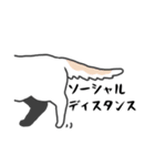 感染症対策させるねこ（個別スタンプ：3）
