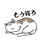 感染症対策させるねこ（個別スタンプ：5）