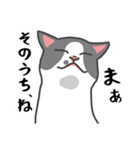感染症対策させるねこ（個別スタンプ：6）