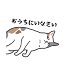 感染症対策させるねこ（個別スタンプ：8）