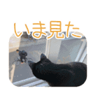 クロとミケの日常会話（個別スタンプ：27）