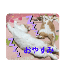 Pちゃん’s（個別スタンプ：6）