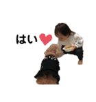 ここみといおんのLINEスタンプ 2020（個別スタンプ：37）