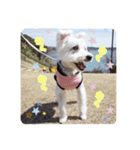 しろシュナ様の旅（個別スタンプ：4）