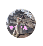 しろシュナ様の旅（個別スタンプ：17）