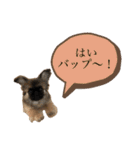 アネラだよ！全員集合！！！（個別スタンプ：5）