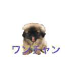 アネラだよ！全員集合！！！（個別スタンプ：8）