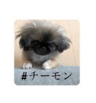 アネラだよ！全員集合！！！（個別スタンプ：9）
