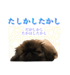 アネラだよ！全員集合！！！（個別スタンプ：10）
