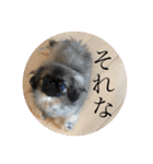 アネラだよ！全員集合！！！（個別スタンプ：12）