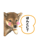 いろはちゃんちゃんちき（個別スタンプ：19）